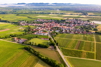 Vue aérienne de Du sud-est à Impflingen dans le département Rhénanie-Palatinat, Allemagne