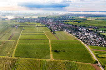 Photographie aérienne de Du nord-ouest à Insheim dans le département Rhénanie-Palatinat, Allemagne