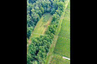 Vue aérienne de Terrains du club des archers de Palatina à Insheim dans le département Rhénanie-Palatinat, Allemagne
