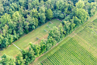 Vue aérienne de Terrains du club des archers de Palatina à Insheim dans le département Rhénanie-Palatinat, Allemagne