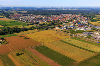 Vue aérienne de Vue de la ville depuis le nord-est à Rülzheim dans le département Rhénanie-Palatinat, Allemagne