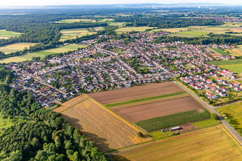 Vue aérienne de Du nord à Hördt dans le département Rhénanie-Palatinat, Allemagne