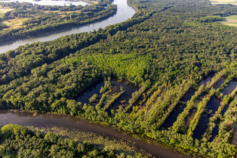 Vue aérienne de Inondation des prairies rhénanes sur le Vieux Rhin (Michelsbach) à Hördt dans le département Rhénanie-Palatinat, Allemagne