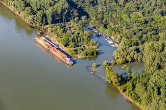 Vue aérienne de Port de plaisance sur le Leimersheimer Altrhein à Leimersheim dans le département Rhénanie-Palatinat, Allemagne