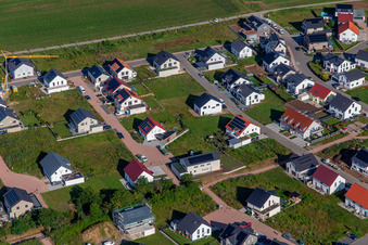 Vue aérienne de Sentier de la lavande à Kandel dans le département Rhénanie-Palatinat, Allemagne