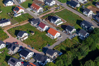 Vue aérienne de Sentier des tulipes à Kandel dans le département Rhénanie-Palatinat, Allemagne