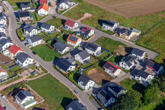 Vue oblique de Chemin des jonquilles à Kandel dans le département Rhénanie-Palatinat, Allemagne
