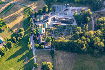 Vue aérienne de École des arbres de Bienwald Konrad à Berg dans le département Rhénanie-Palatinat, Allemagne