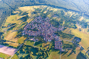 Vue aérienne de En été à le quartier Büchelberg in Wörth am Rhein dans le département Rhénanie-Palatinat, Allemagne