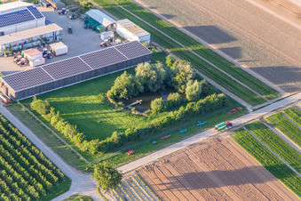 Vue aérienne de Jardin fermier avec étang naturel à Winden dans le département Rhénanie-Palatinat, Allemagne