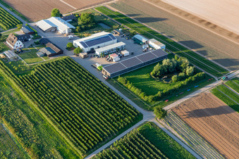 Vue aérienne de Jardin fermier avec étang naturel à Winden dans le département Rhénanie-Palatinat, Allemagne