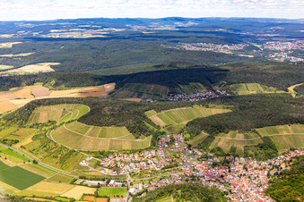 Vue aérienne de Vignobles à Ramsthal dans le département Bavière, Allemagne