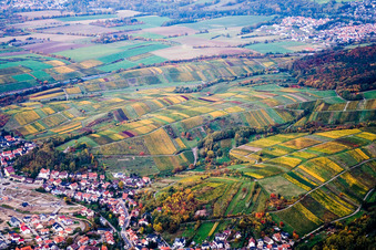 Vue aérienne de Vignobles vers Wiesloch à Rauenberg dans le département Bade-Wurtemberg, Allemagne