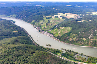 Vue aérienne de Quartier Assmannshausen in Rüdesheim am Rhein dans le département Hesse, Allemagne
