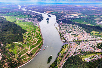Vue aérienne de Rhin moyen avec Binger Mäuseturm entre Rüdesheim et Bingen à Bingen am Rhein dans le département Rhénanie-Palatinat, Allemagne