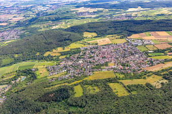 Vue aérienne de Weiler bei Bingen dans le département Rhénanie-Palatinat, Allemagne