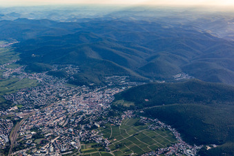 Vue aérienne de Du nord-est à Neustadt an der Weinstraße dans le département Rhénanie-Palatinat, Allemagne