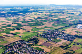 Vue aérienne de Parc éolien d'Offenbach à Ottersheim bei Landau dans le département Rhénanie-Palatinat, Allemagne