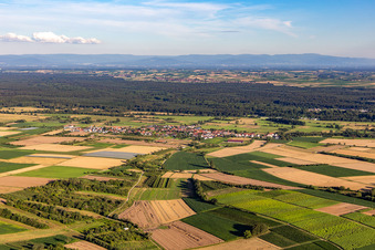 Vue aérienne de Du nord à Schweighofen dans le département Rhénanie-Palatinat, Allemagne