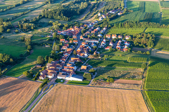 Photographie aérienne de De l'ouest à Hergersweiler dans le département Rhénanie-Palatinat, Allemagne