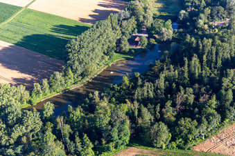 Vue aérienne de Étangs à poissons sur le Quodbach à Insheim dans le département Rhénanie-Palatinat, Allemagne