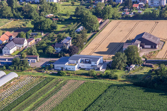 Vue aérienne de Villa sur Böhlweg à Offenbach an der Queich dans le département Rhénanie-Palatinat, Allemagne