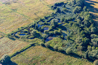 Photographie aérienne de Biotope sur la Queich à le quartier Niederhochstadt in Hochstadt dans le département Rhénanie-Palatinat, Allemagne