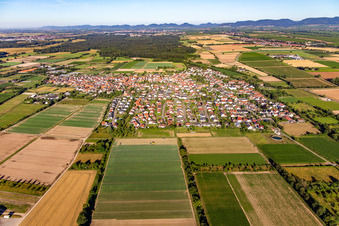 Vue aérienne de De l'est à Zeiskam dans le département Rhénanie-Palatinat, Allemagne