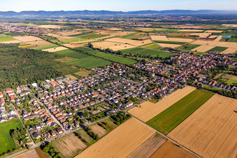 Vue aérienne de De l'est à Westheim dans le département Rhénanie-Palatinat, Allemagne