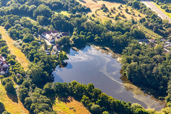 Vue aérienne de Étang le long du Druslach à Lingenfeld dans le département Rhénanie-Palatinat, Allemagne