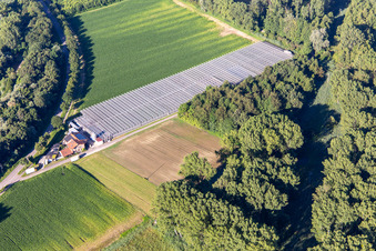Vue aérienne de Pépinière Blumen-Xpert GbR avec serres dans la Hördter Straße à le quartier Sondernheim in Germersheim dans le département Rhénanie-Palatinat, Allemagne