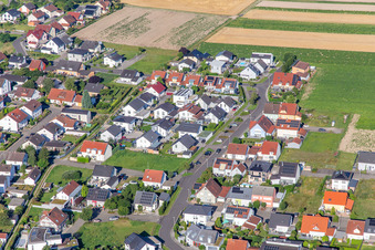 Bague fleur à le quartier Hardtwald in Neupotz dans le département Rhénanie-Palatinat, Allemagne depuis l'avion