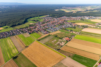 Vue aérienne de Du nord-est à Hatzenbühl dans le département Rhénanie-Palatinat, Allemagne