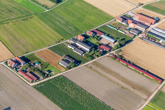 Vue aérienne de Aussiedlerhöfe Am Bildstöckel à Hatzenbühl dans le département Rhénanie-Palatinat, Allemagne