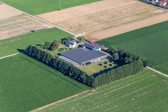 Vue aérienne de Aussiedlerhof à Steinweiler dans le département Rhénanie-Palatinat, Allemagne