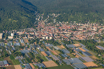 Heidelberg/Handschuhsheim