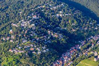 Vue aérienne de Quartier de villas à flanc de colline à Schriesheim dans le département Bade-Wurtemberg, Allemagne