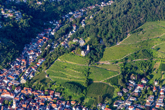 Vue aérienne de Ruines du château de Schauenburg à Schriesheim dans le département Bade-Wurtemberg, Allemagne
