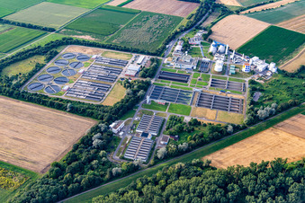 Vue aérienne de Station d'épuration des eaux usées drainage urbain Mannheim à le quartier Sandhofen in Mannheim dans le département Bade-Wurtemberg, Allemagne