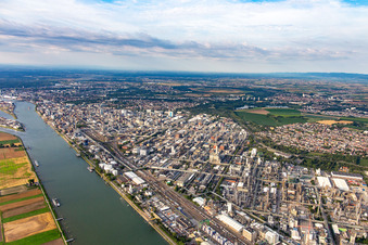 Vue aérienne de Usine chimique au bord du Rhin à le quartier BASF in Ludwigshafen am Rhein dans le département Rhénanie-Palatinat, Allemagne