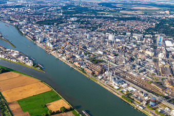 Usine chimique au bord du Rhin à le quartier BASF in Ludwigshafen am Rhein dans le département Rhénanie-Palatinat, Allemagne d'en haut