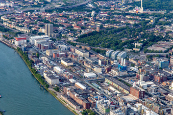 Usine chimique au bord du Rhin à le quartier BASF in Ludwigshafen am Rhein dans le département Rhénanie-Palatinat, Allemagne hors des airs