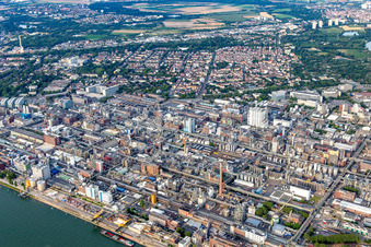 Usine chimique au bord du Rhin à le quartier BASF in Ludwigshafen am Rhein dans le département Rhénanie-Palatinat, Allemagne vue d'en haut