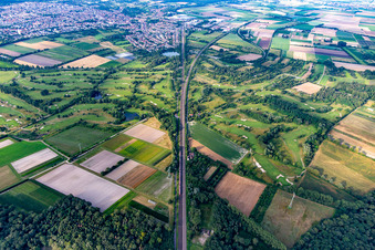 Photographie aérienne de Parc de golf Kurpfalz à Schifferstadt dans le département Rhénanie-Palatinat, Allemagne