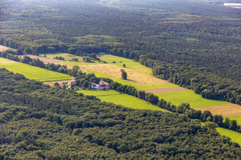 Vue aérienne de Centre de développement professionnel Ludwigsmühle à le quartier Niederlustadt in Lustadt dans le département Rhénanie-Palatinat, Allemagne