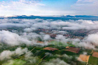 Vue aérienne de Sous des nuages bas à le quartier Ingenheim in Billigheim-Ingenheim dans le département Rhénanie-Palatinat, Allemagne