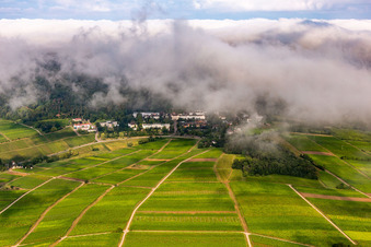 Photographie aérienne de Nuages denses au-dessus de l'hôpital psychiatrique et neurologique du Palatinat à Klingenmünster dans le département Rhénanie-Palatinat, Allemagne
