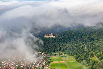 Vue aérienne de Le château de Landeck le matin sous des nuages bas à Klingenmünster dans le département Rhénanie-Palatinat, Allemagne
