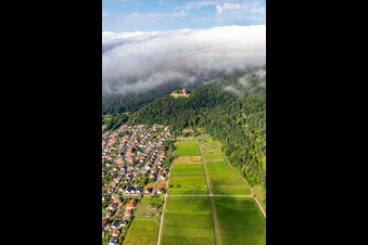 Vue oblique de Le château de Landeck le matin sous des nuages bas à Klingenmünster dans le département Rhénanie-Palatinat, Allemagne