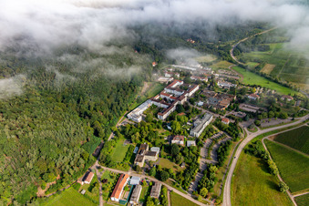 Nuages denses au-dessus de l'hôpital psychiatrique et neurologique du Palatinat à Klingenmünster dans le département Rhénanie-Palatinat, Allemagne vue d'en haut